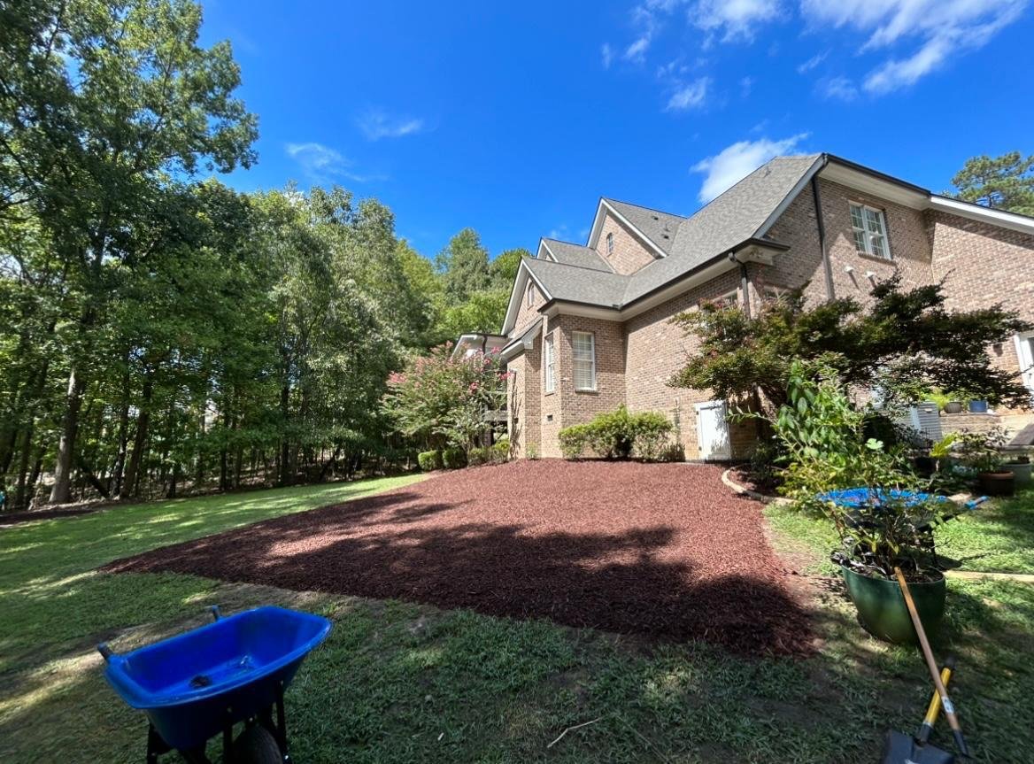 Gutter cleaning and exterior care