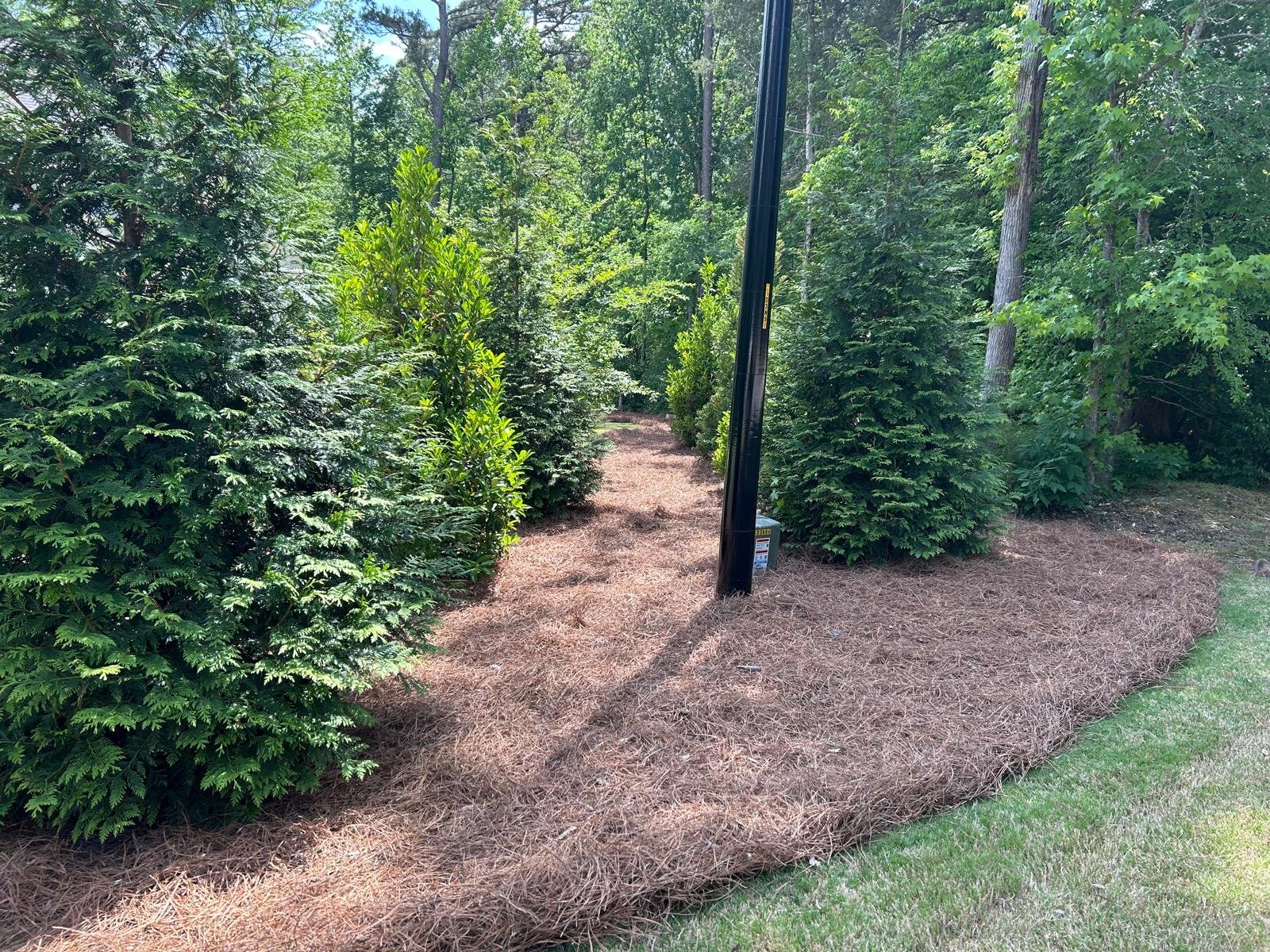 Landscaping design project