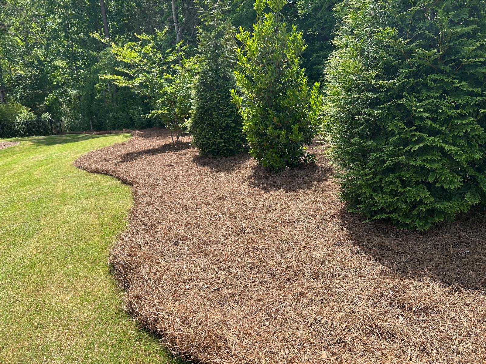 Custom landscaped outdoor space