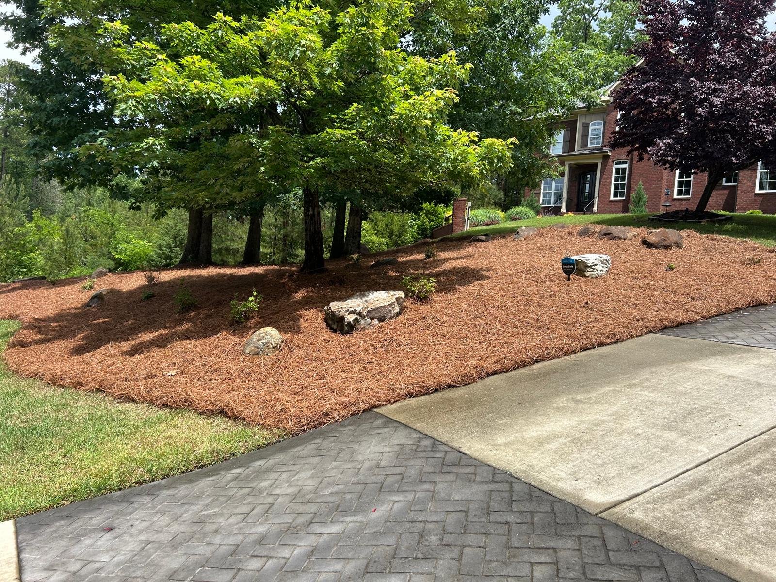 Lawn maintenance service project
