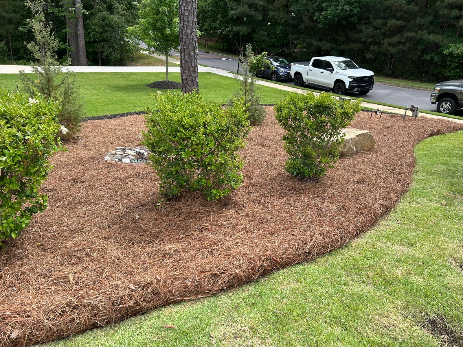 Residential lawn care and yard maintenance