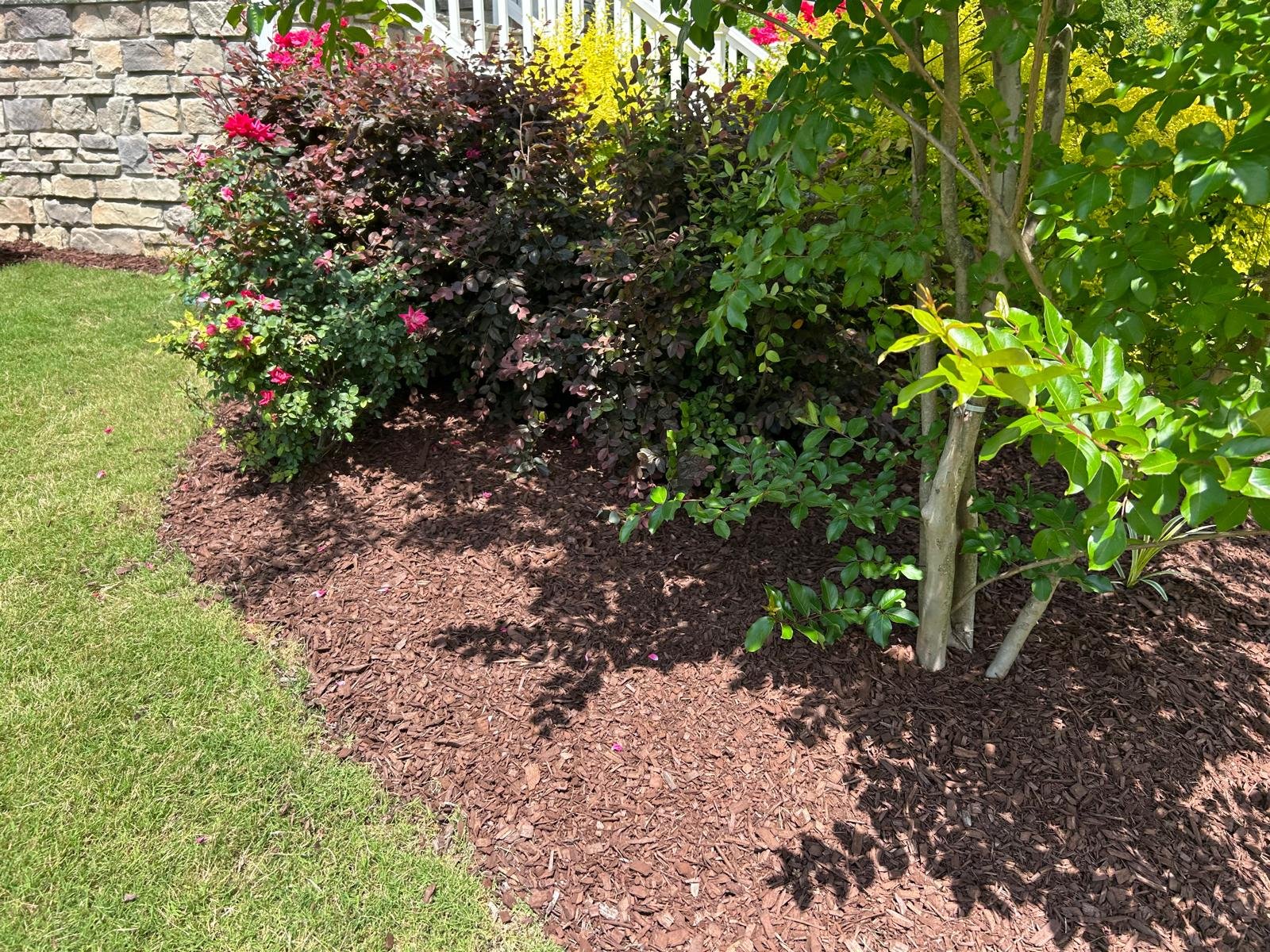 Lawn maintenance service project