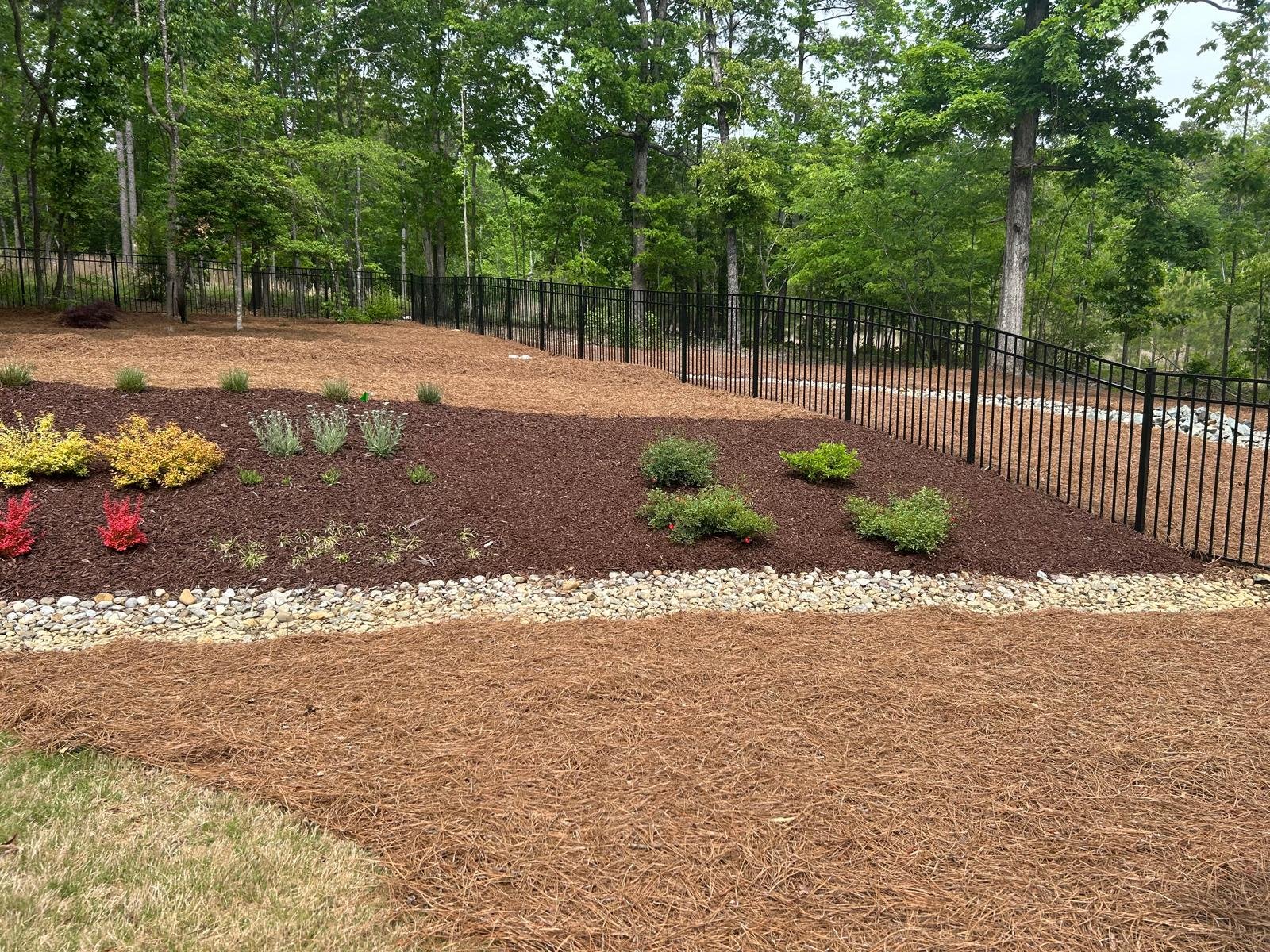 Pine straw installation project