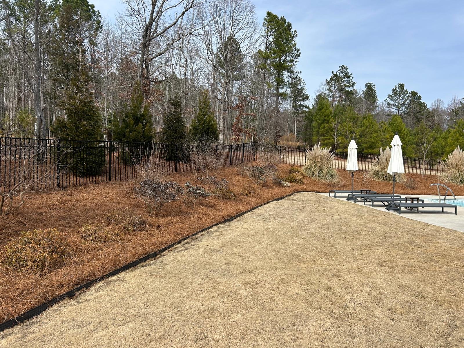 Professional pine straw landscaping work