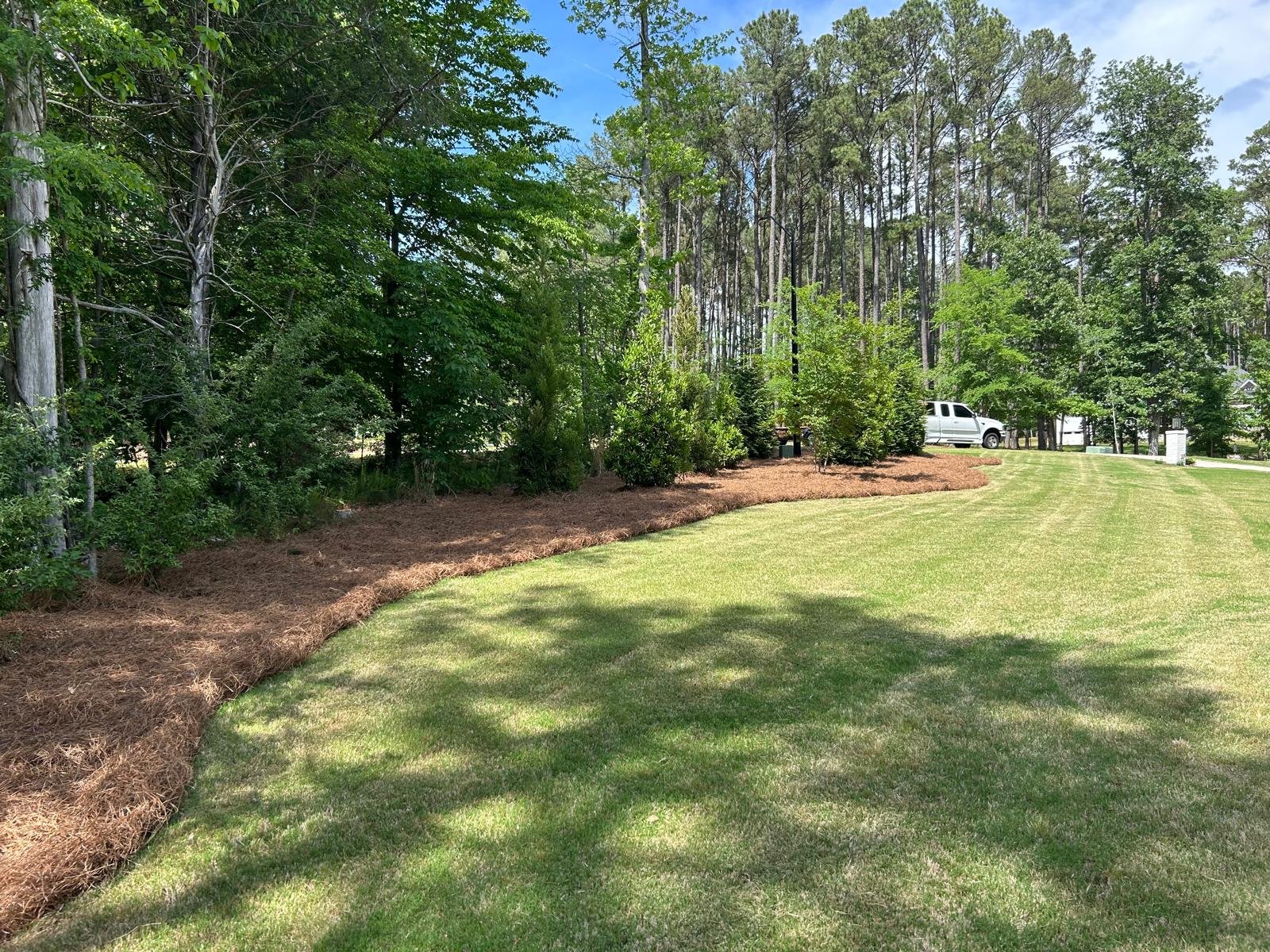 Landscaping and Design