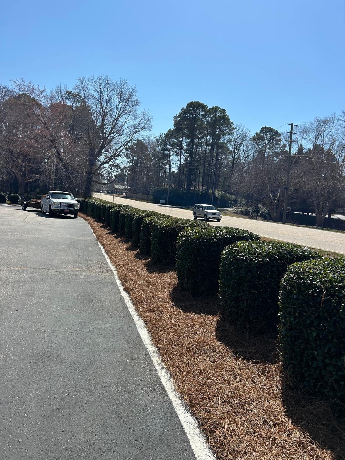 Tree trimming service